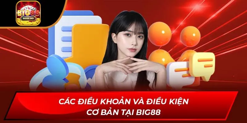 Các điều khoản và điều kiện cơ bản tại BIG88