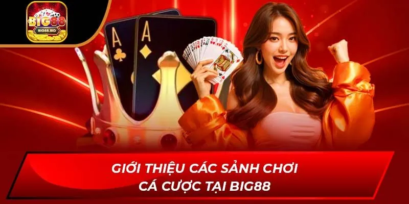 Giới thiệu các sảnh chơi cá cược tại BIG88