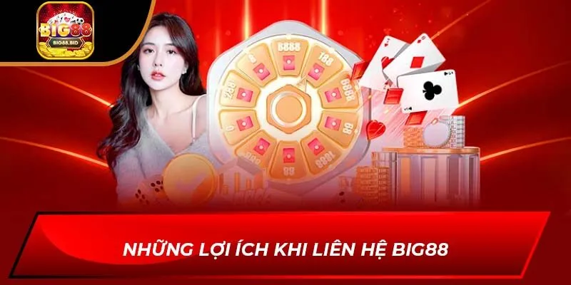Những lợi ích khi liên hệ BIG88