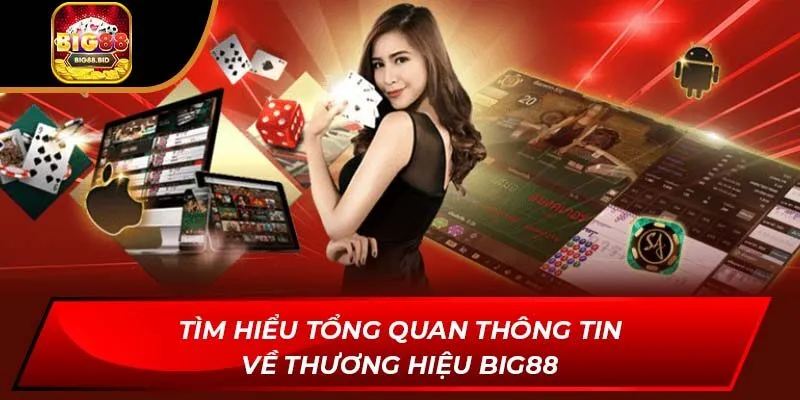 Tìm hiểu tổng quan thông tin về thương hiệu BIG88