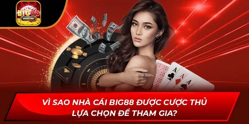 Vì sao nhà cái BIG88 được cược thủ lựa chọn để tham gia?